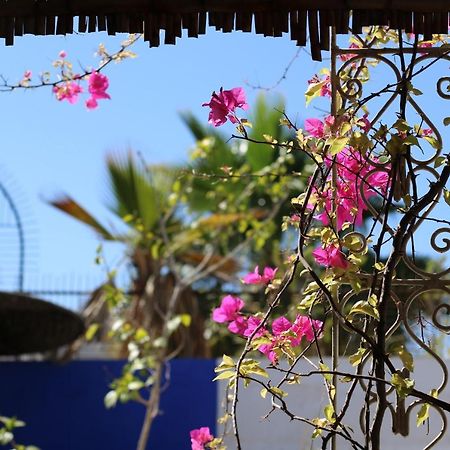 Riad 46 Otel Marakeş Dış mekan fotoğraf