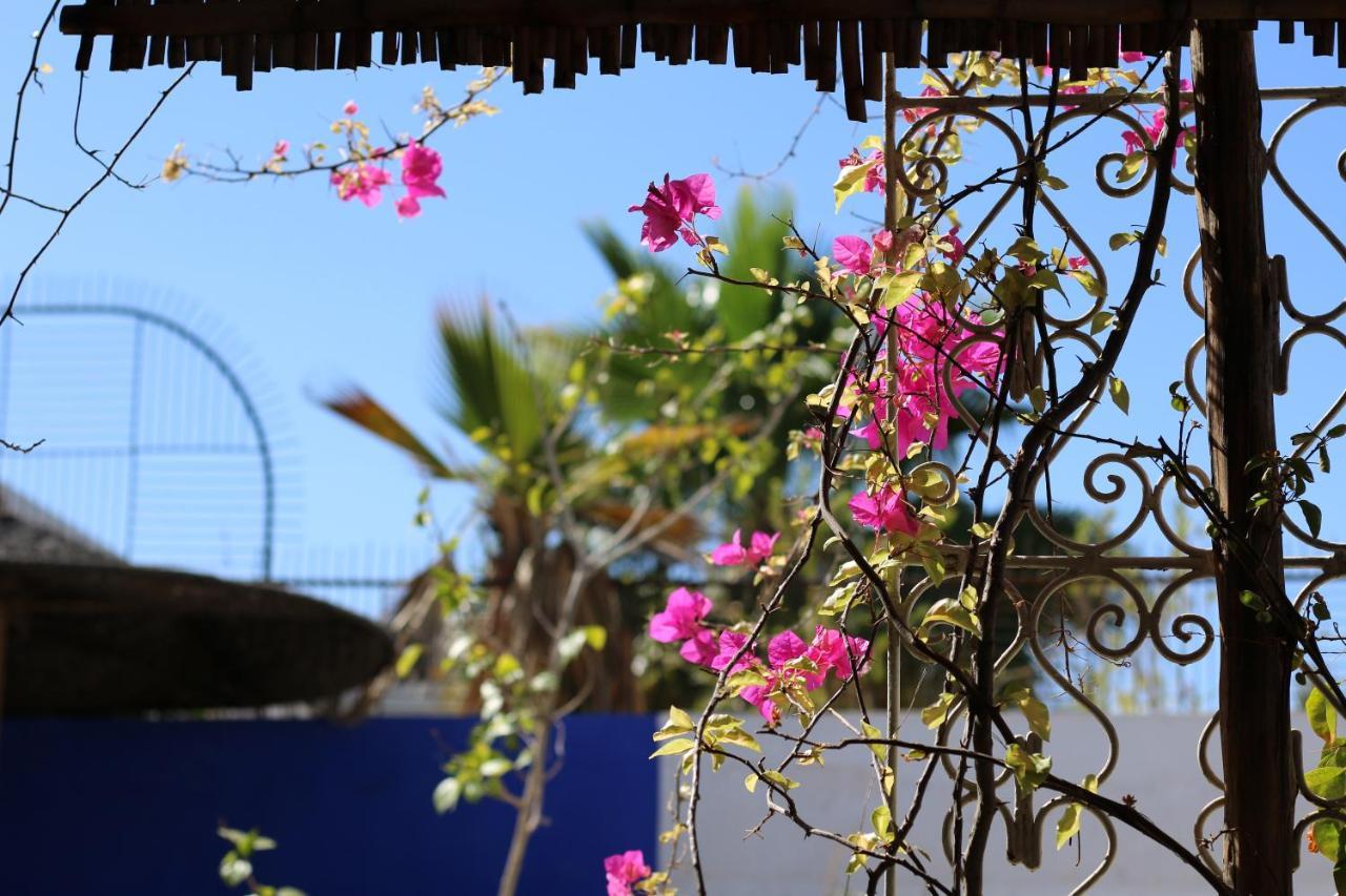 Riad 46 Marakeş Dış mekan fotoğraf
